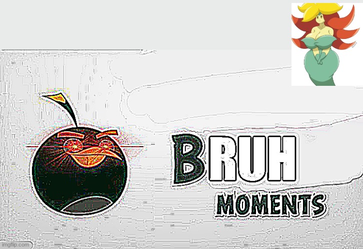 Bruh Moments | image tagged in bruh moments | made w/ Imgflip meme maker