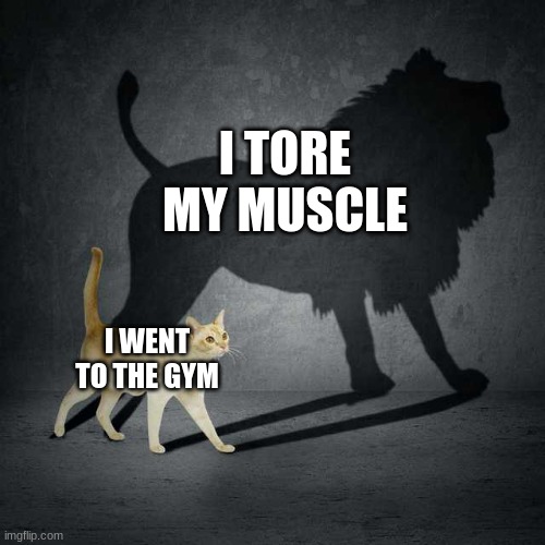bruh | I TORE MY MUSCLE; I WENT TO THE GYM | image tagged in cat shadow | made w/ Imgflip meme maker