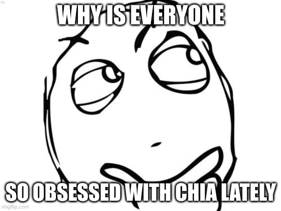 Question Rage Face Meme | WHY IS EVERYONE; SO OBSESSED WITH CHIA LATELY | image tagged in memes,question rage face | made w/ Imgflip meme maker