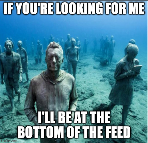 See you at the bottom | IF YOU'RE LOOKING FOR ME; I'LL BE AT THE BOTTOM OF THE FEED | image tagged in memes,meme | made w/ Imgflip meme maker