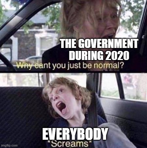 Why Can't You Just Be Normal | THE GOVERNMENT DURING 2020; EVERYBODY | image tagged in why can't you just be normal | made w/ Imgflip meme maker