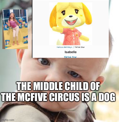 Someone messed up | THE MIDDLE CHILD OF THE MCFIVE CIRCUS IS A DOG | image tagged in memes,skeptical baby | made w/ Imgflip meme maker