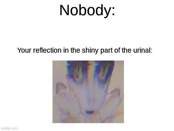 Mandela Catalogue | Nobody:; Your reflection in the shiny part of the urinal: | image tagged in blank white template,alternate reality,aliens,horror | made w/ Imgflip meme maker