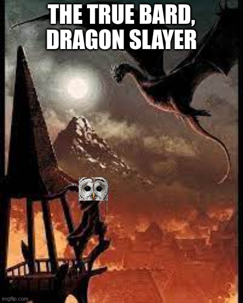 Bard, Dragon Slayer | THE TRUE BARD, DRAGON SLAYER | image tagged in lotr,bard,owl,memes | made w/ Imgflip meme maker