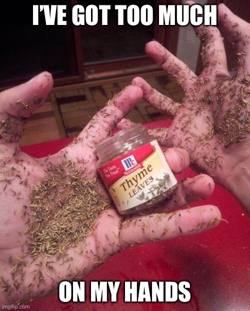 too much thyme on my hands | I’VE GOT TOO MUCH ON MY HANDS | image tagged in too much thyme on my hands | made w/ Imgflip meme maker