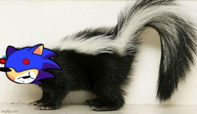 Cool Skunk | image tagged in cool skunk | made w/ Imgflip meme maker