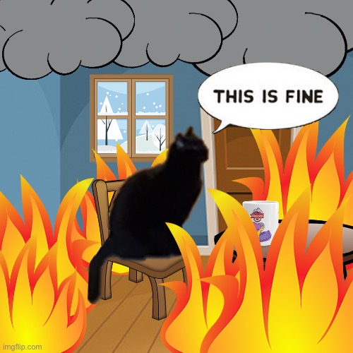 This Is Fine | image tagged in this is fine cat,sarlah,sarlahthecat,sarlahkitty,vanillabizcotti | made w/ Imgflip meme maker