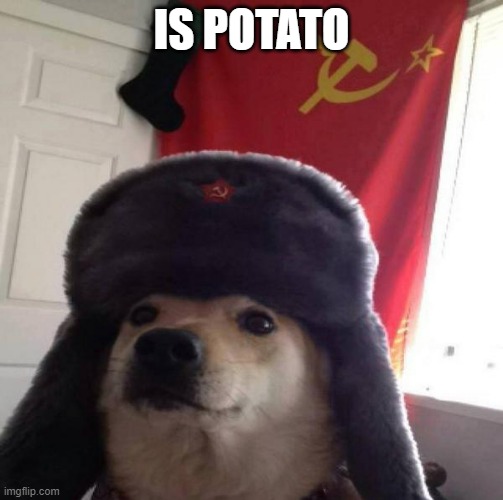 Russian Doge | IS POTATO | image tagged in russian doge | made w/ Imgflip meme maker