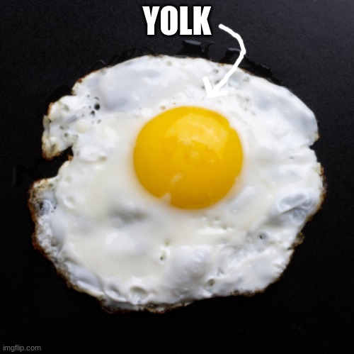 Eggs | YOLK | image tagged in eggs | made w/ Imgflip meme maker