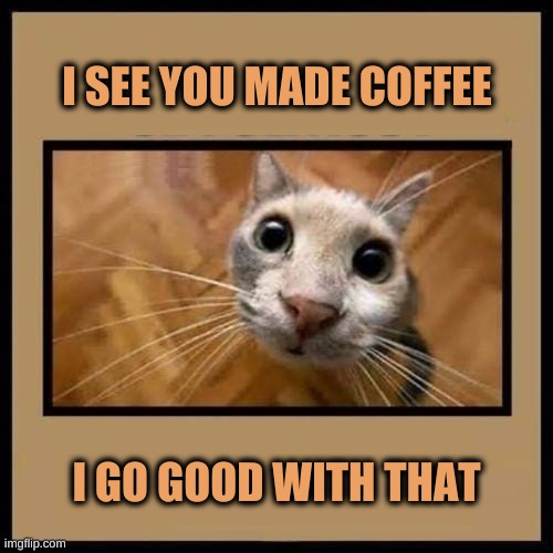 Cat and Coffee |  I SEE YOU MADE COFFEE; I GO GOOD WITH THAT | image tagged in cat and coffee,cat,coffee,i love you,coffee time,dank meme | made w/ Imgflip meme maker