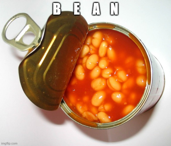 Can of beans | B     E     A    N | image tagged in can of beans | made w/ Imgflip meme maker