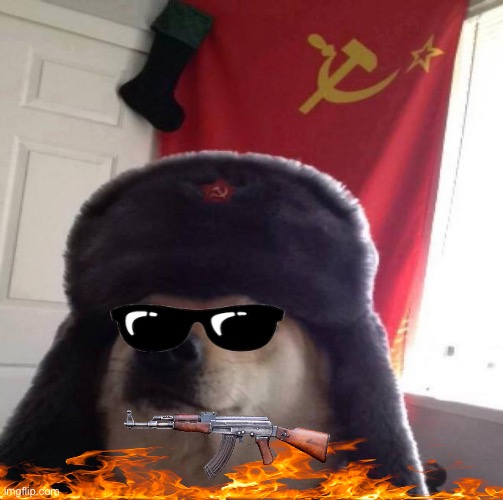 Pov: doge visits ukraine | image tagged in russian doge | made w/ Imgflip meme maker