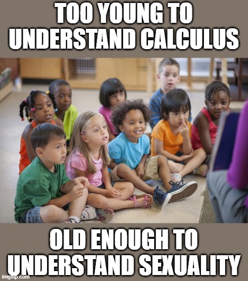 Stop indoctrinating kids with immorality. | TOO YOUNG TO UNDERSTAND CALCULUS; OLD ENOUGH TO UNDERSTAND SEXUALITY | made w/ Imgflip meme maker