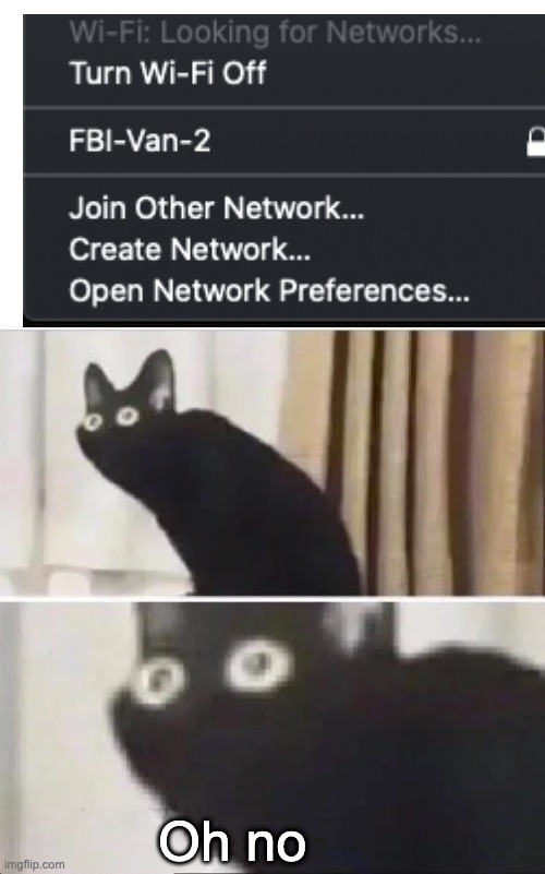 Frick they found the bodies O.o | Oh no | image tagged in oh no black cat,fbi,why is the fbi here | made w/ Imgflip meme maker