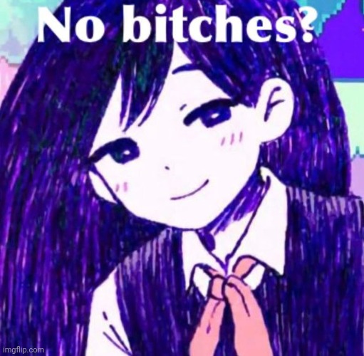 No Bitches? | image tagged in no bitches | made w/ Imgflip meme maker