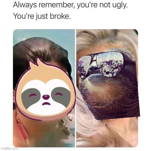 High Quality Sloth before & after glow-up Blank Meme Template