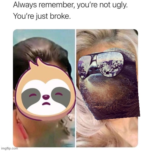 Sloth before & after glow-up | image tagged in sloth before after glow-up | made w/ Imgflip meme maker