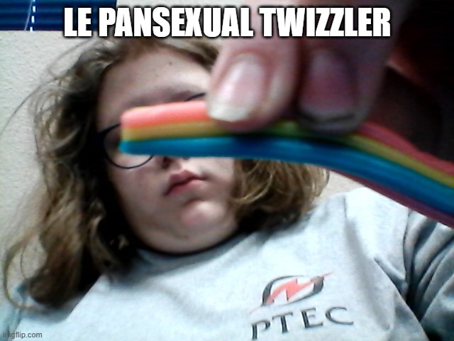 LE PANSEXUAL TWIZZLER | made w/ Imgflip meme maker