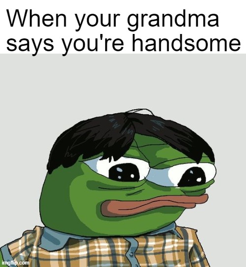 Handsome Apu Apustaja | When your grandma says you're handsome | image tagged in apu apustaja,handsome,meme,memes | made w/ Imgflip meme maker