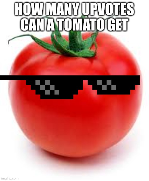 Clever Title here | HOW MANY UPVOTES CAN A TOMATO GET | image tagged in tomato,memes,funny,imgflip | made w/ Imgflip meme maker