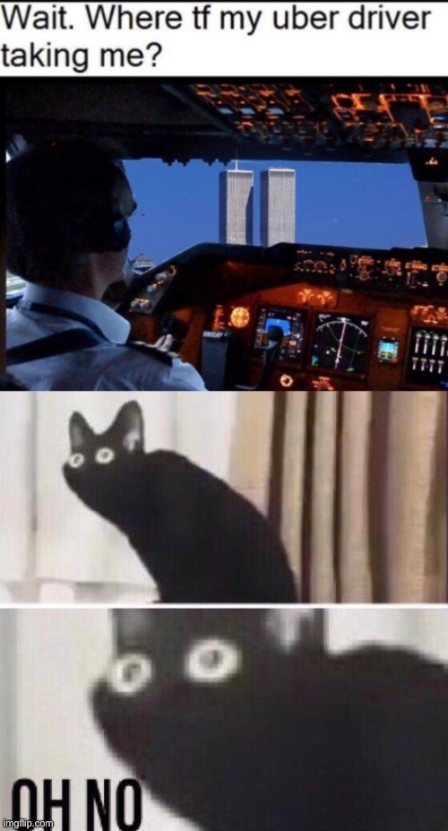 JANBDBA | image tagged in oh no cat,memes,funny,fun,cat,uh oh | made w/ Imgflip meme maker