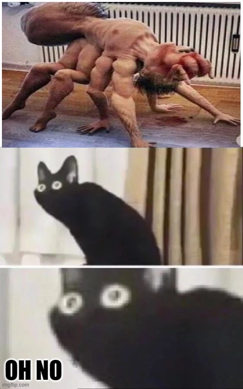 yep it's cursed | OH NO | image tagged in oh no black cat | made w/ Imgflip meme maker