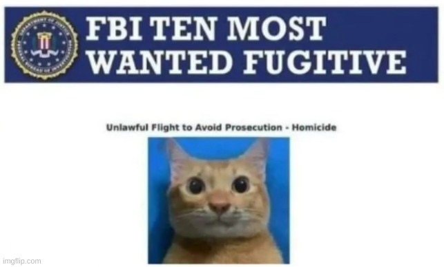 image tagged in memes,funny | made w/ Imgflip meme maker