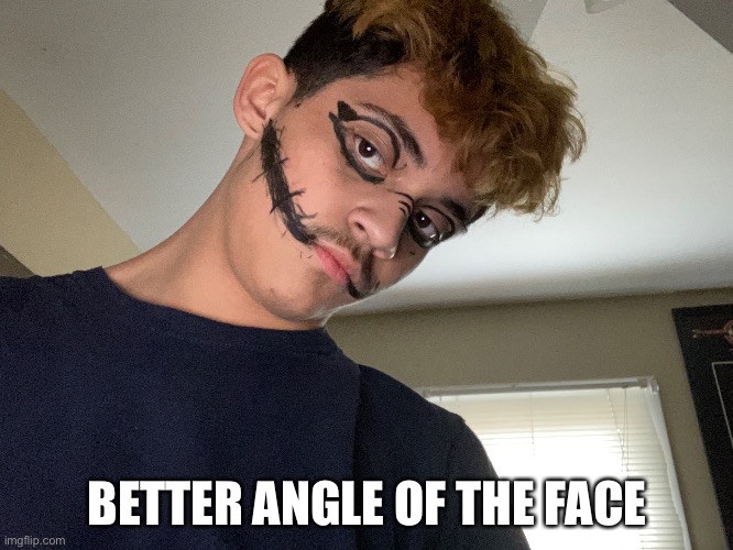 BETTER ANGLE OF THE FACE | image tagged in am i the only one around here | made w/ Imgflip meme maker