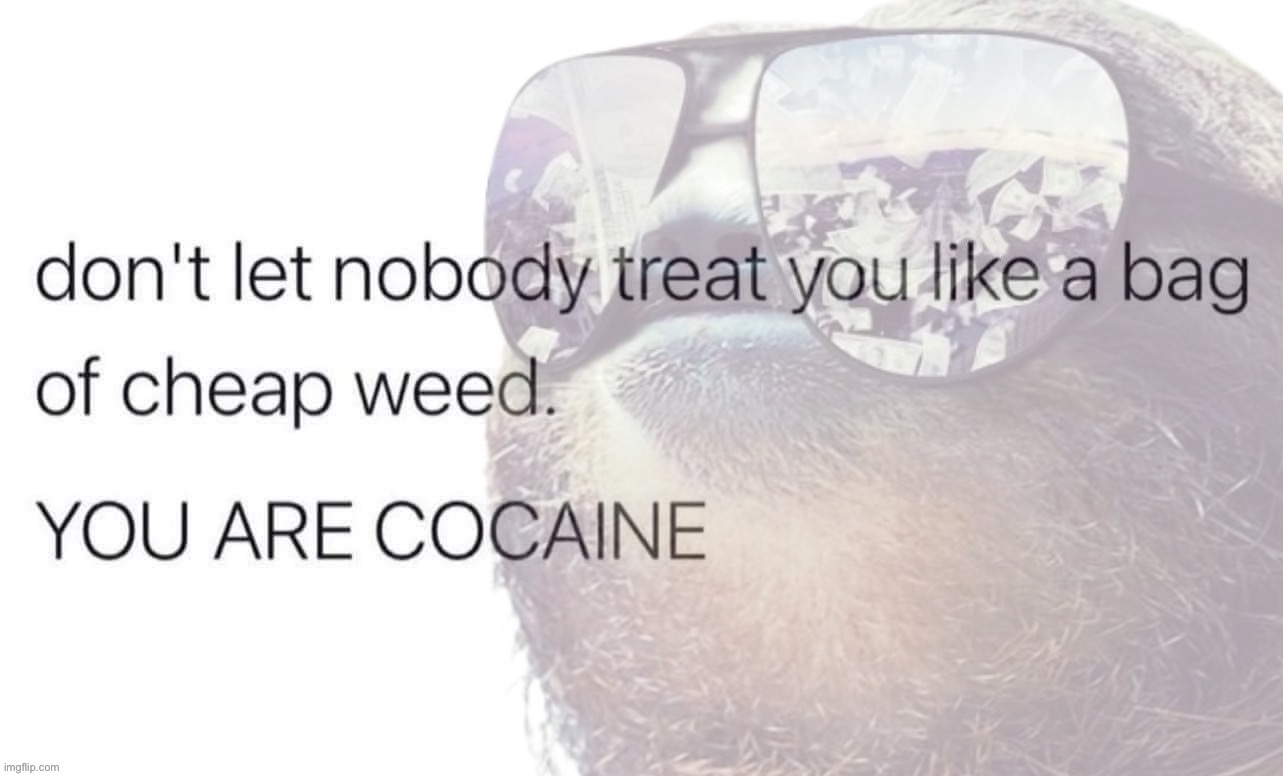 Sloth you are cocaine | image tagged in sloth you are cocaine | made w/ Imgflip meme maker