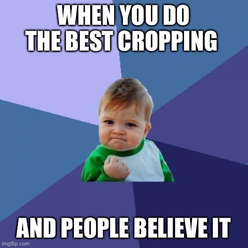 Success Kid | WHEN YOU DO THE BEST CROPPING; AND PEOPLE BELIEVE IT | image tagged in memes,success kid | made w/ Imgflip meme maker