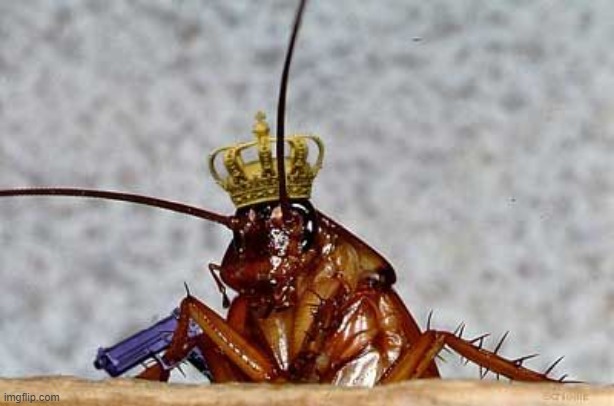 Cockroach King | image tagged in cockroach king | made w/ Imgflip meme maker