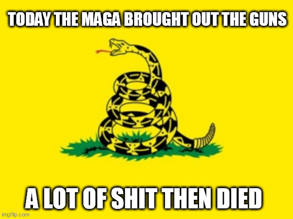 Gadsden Flag | TODAY THE MAGA BROUGHT OUT THE GUNS; A LOT OF SHIT THEN DIED | image tagged in gadsden flag | made w/ Imgflip meme maker