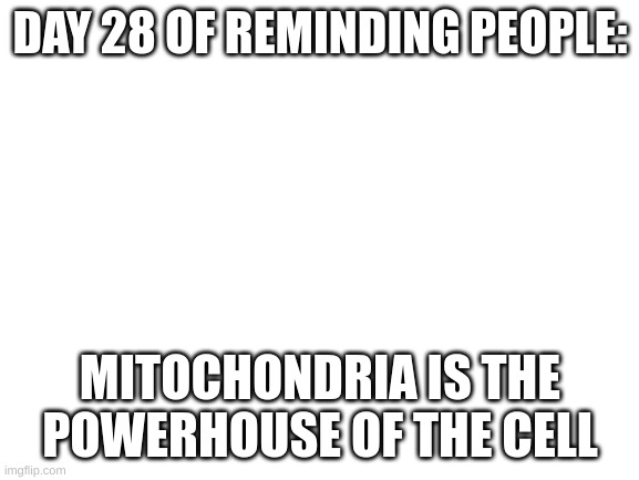 day 28 | DAY 28 OF REMINDING PEOPLE:; MITOCHONDRIA IS THE POWERHOUSE OF THE CELL | image tagged in blank white template | made w/ Imgflip meme maker