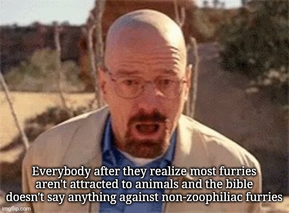Walter White | Everybody after they realize most furries aren't attracted to animals and the bible doesn't say anything against non-zoophiliac furries | image tagged in walter white | made w/ Imgflip meme maker