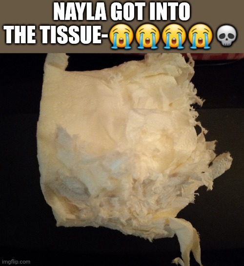 Beating ass today  ._. | NAYLA GOT INTO THE TISSUE-😭😭😭😭💀 | made w/ Imgflip meme maker