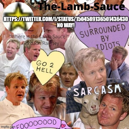 The-Lamb-Sauce’s announcement temp | HTTPS://TWITTER.COM/I/STATUS/1504589136501436430

NO WAY! | image tagged in the-lamb-sauce s announcement temp | made w/ Imgflip meme maker