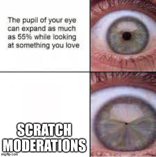 the scratch team is sensitive ngl | SCRATCH MODERATIONS | image tagged in your pupil expands looking at someone you love | made w/ Imgflip meme maker