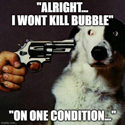 :) | "ALRIGHT... I WONT KILL BUBBLE"; "ON ONE CONDITION..." | image tagged in dog at gunpoint | made w/ Imgflip meme maker