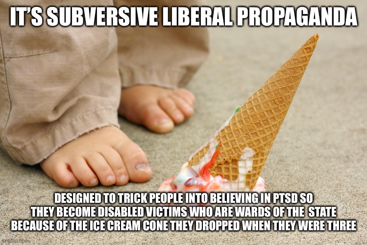 IT’S SUBVERSIVE LIBERAL PROPAGANDA DESIGNED TO TRICK PEOPLE INTO BELIEVING IN PTSD SO THEY BECOME DISABLED VICTIMS WHO ARE WARDS OF THE  STA | made w/ Imgflip meme maker