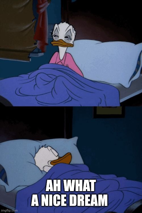 Sleeping Donald Duck | AH WHAT A NICE DREAM | image tagged in sleeping donald duck | made w/ Imgflip meme maker