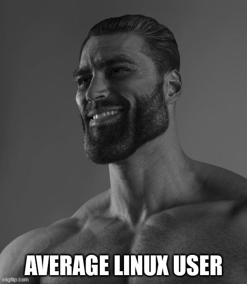 Giga Chad | AVERAGE LINUX USER | image tagged in giga chad | made w/ Imgflip meme maker