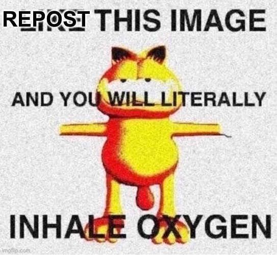 like this image | REPOST | image tagged in like this image | made w/ Imgflip meme maker