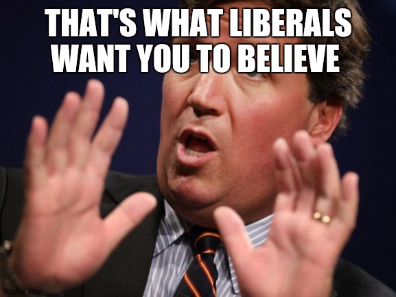 hey komrad is your name tucker ? | THAT'S WHAT LIBERALS WANT YOU TO BELIEVE | image tagged in tucker fucker | made w/ Imgflip meme maker