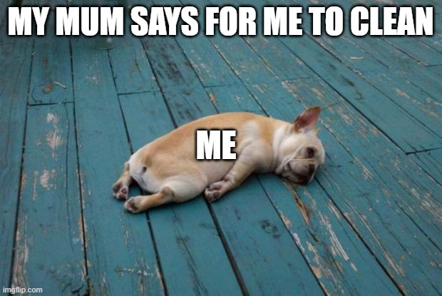 Tired dog |  MY MUM SAYS FOR ME TO CLEAN; ME | image tagged in tired dog | made w/ Imgflip meme maker