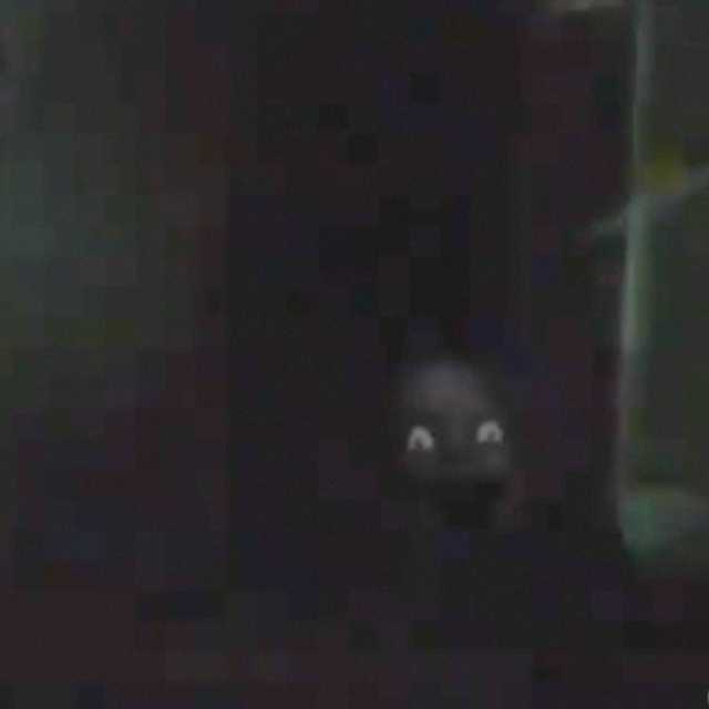 Creepy Stalking face Blank Meme Template