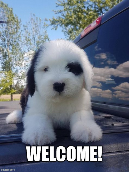 WELCOME! | made w/ Imgflip meme maker