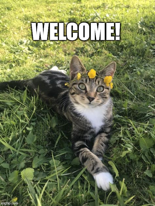 WELCOME! | made w/ Imgflip meme maker