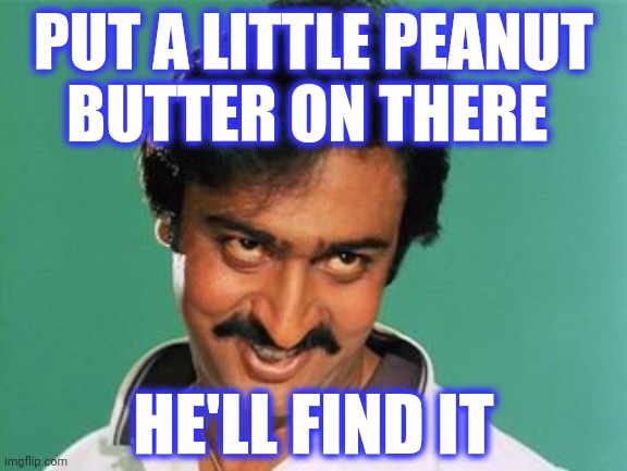 pervert look | PUT A LITTLE PEANUT
BUTTER ON THERE HE'LL FIND IT | image tagged in pervert look | made w/ Imgflip meme maker