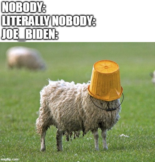 i h8 that toxic user | NOBODY:
LITERALLY NOBODY:
JOE_BIDEN: | image tagged in stupid sheep,nobody absolutely no one | made w/ Imgflip meme maker
