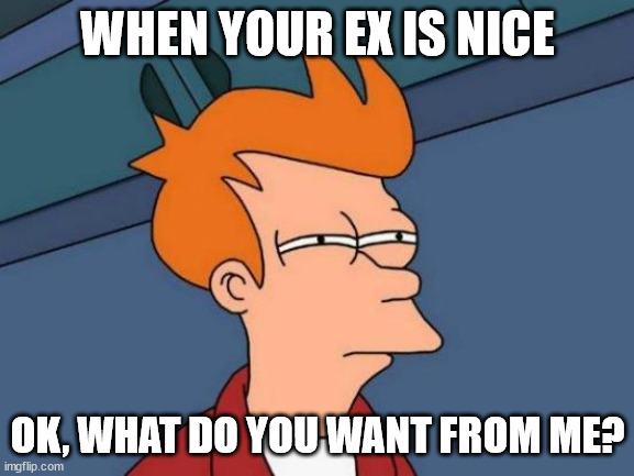 Isn't it weird? | WHEN YOUR EX IS NICE; OK, WHAT DO YOU WANT FROM ME? | image tagged in memes,futurama fry | made w/ Imgflip meme maker